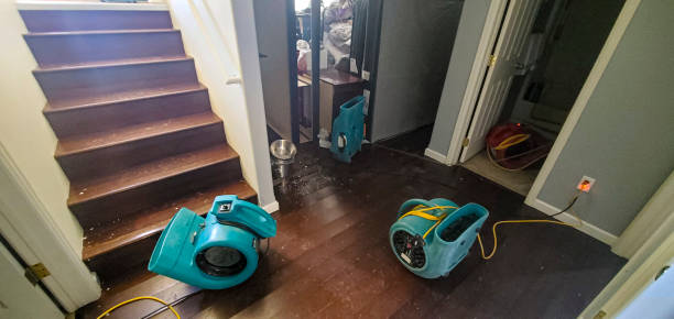 Best Water damage repair service  in Mcconnell Af, KS