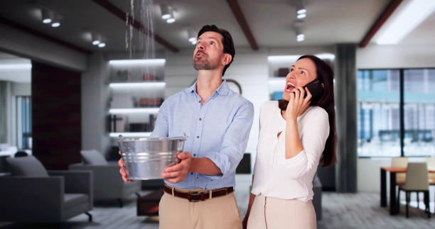 Best Professional water damage repair  in Mcconnell Af, KS