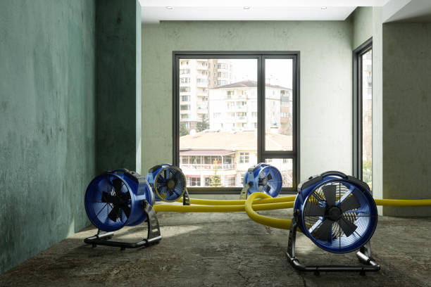 Best Sewage cleanup and water damage restoration  in Mcconnell Af, KS